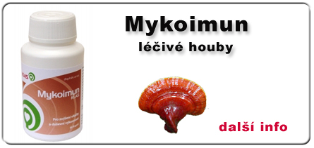 MACADAMIA - KLAS POINT - Mykoimun